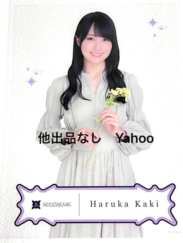 乃木坂46 クリアポスター2024ランダム 乃木坂46 クリアポスター2024ランダム